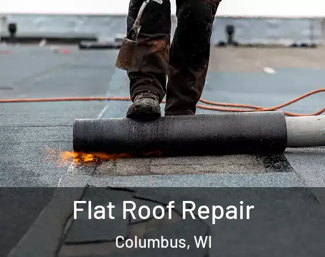  Flat Roof Repair Columbus, WI