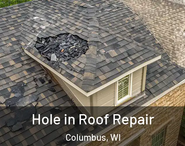  Hole in Roof Repair Columbus, WI