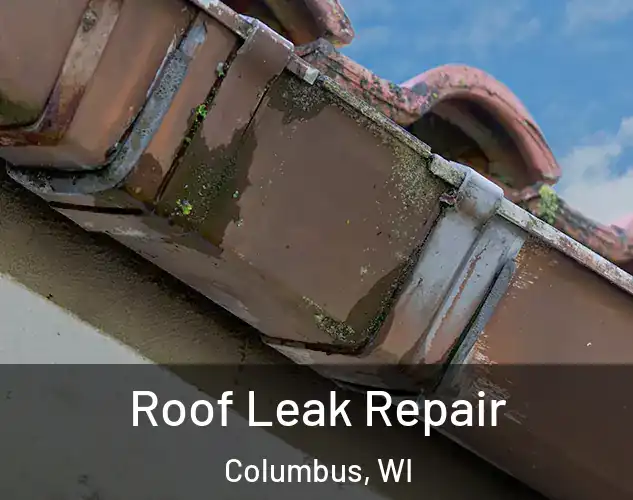  Roof Leak Repair Columbus, WI