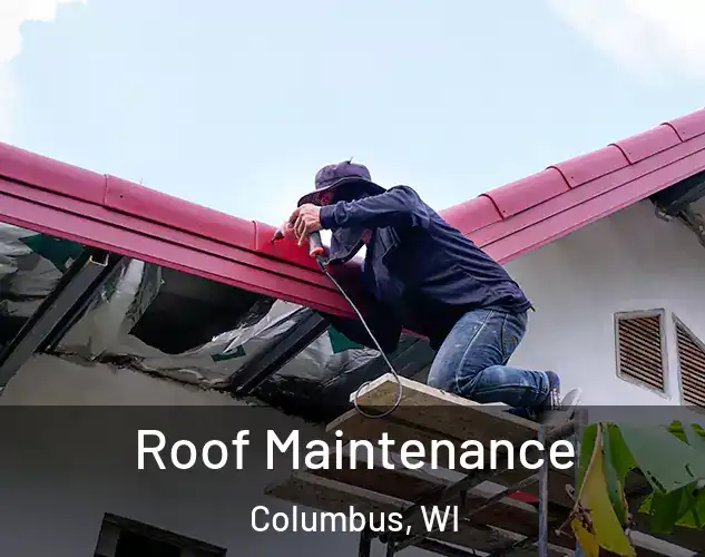  Roof Maintenance Columbus, WI